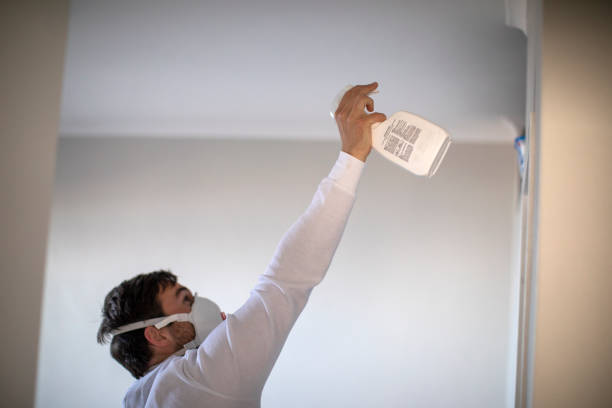 Best Best Mold Removal Companies  in Walnut Park, CA
